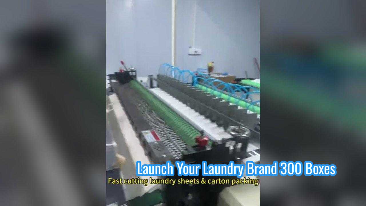 植物性生物分解性洗濯用洗剤シート